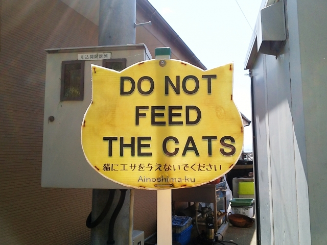 猫に餌を与えない